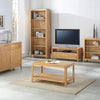 Dunmore Oak TV Unit - Large